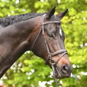 Academy Snaffle Bridle