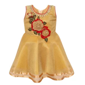 Baby Girls Party Wear Frock Dress fe2433bge